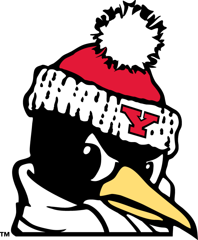 Youngstown State Penguins 1993-Pres Alternate Logo v9 diy DTF decal sticker